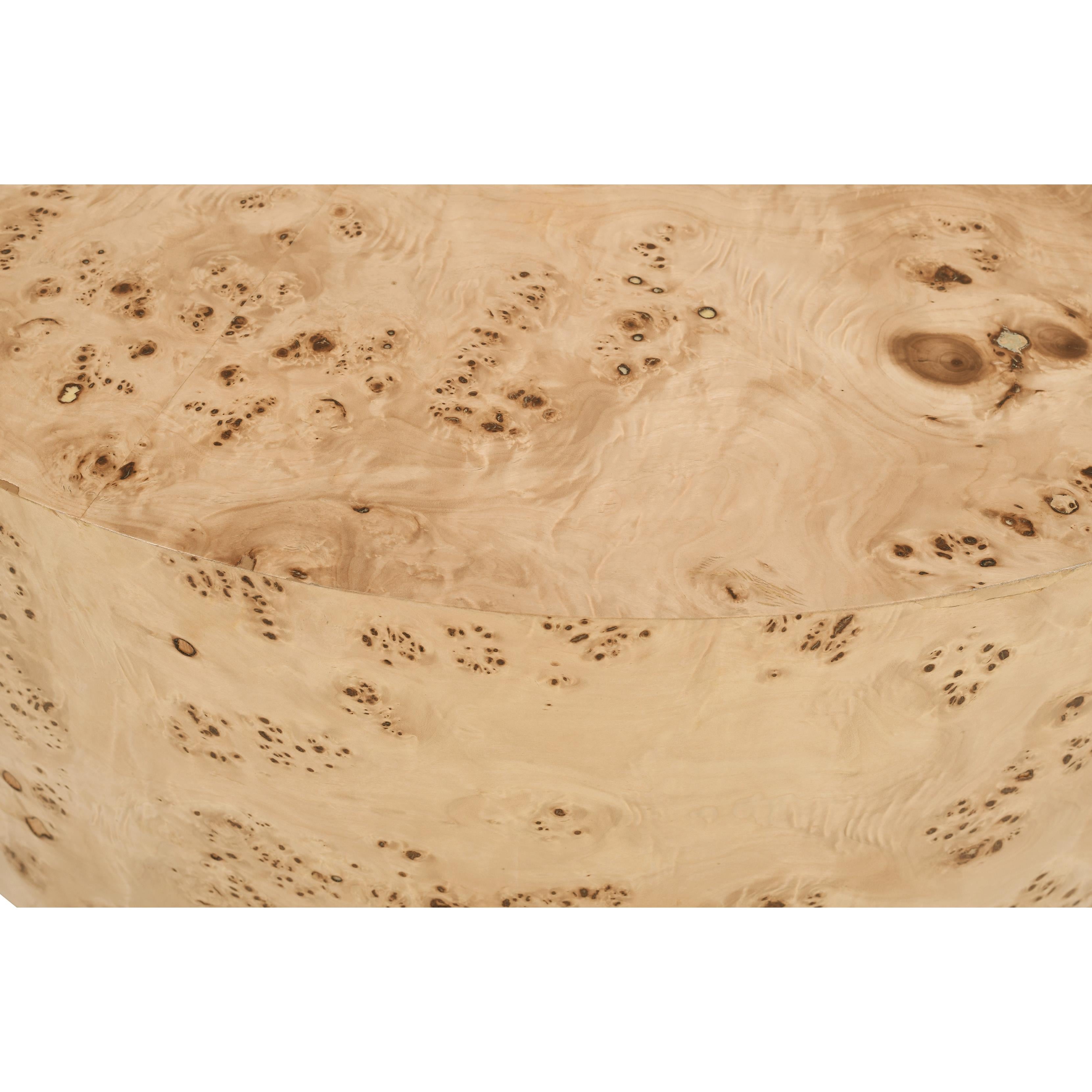 Meridian Burl Natural Ash Coffee Table