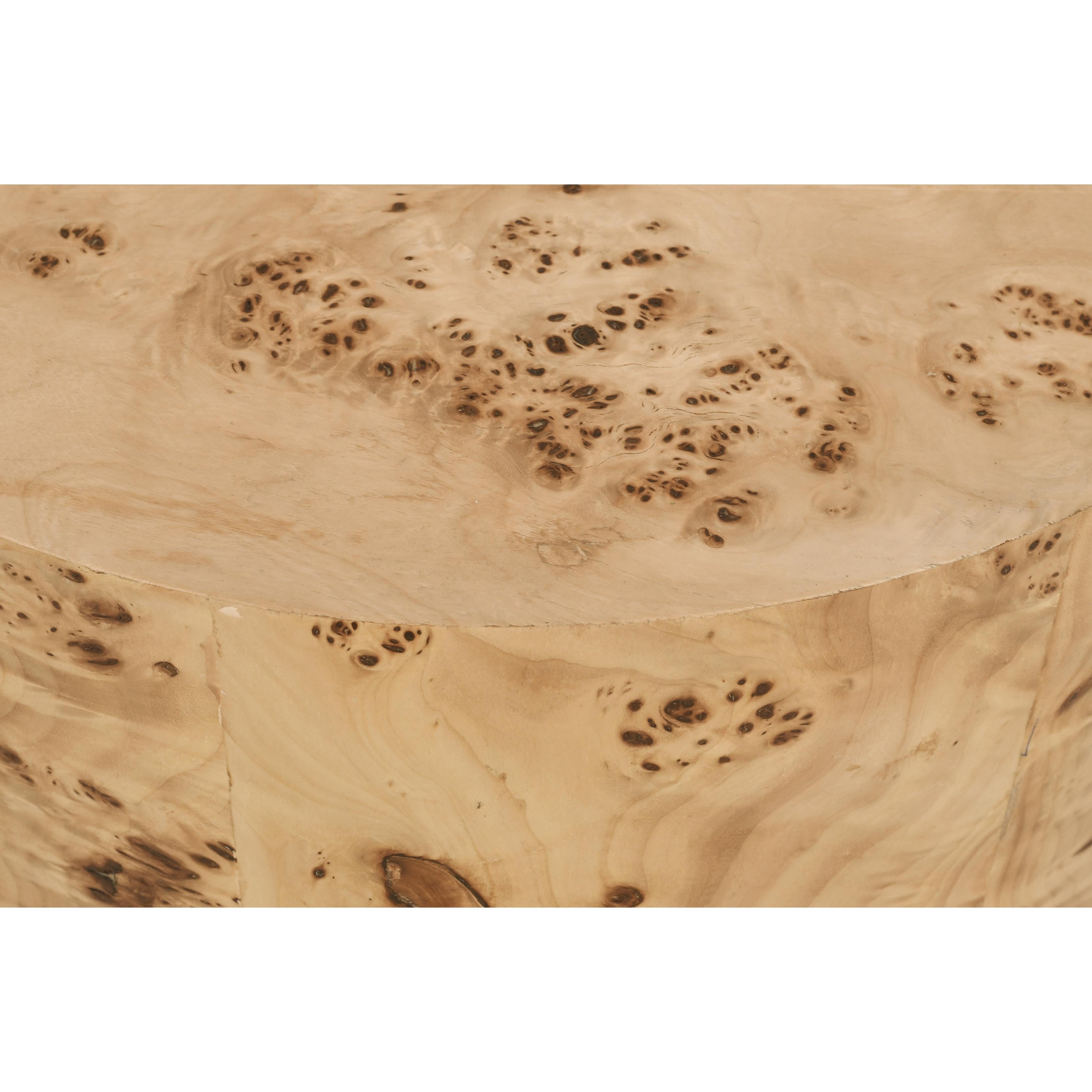 Meridian Burl Natural Ash End Table