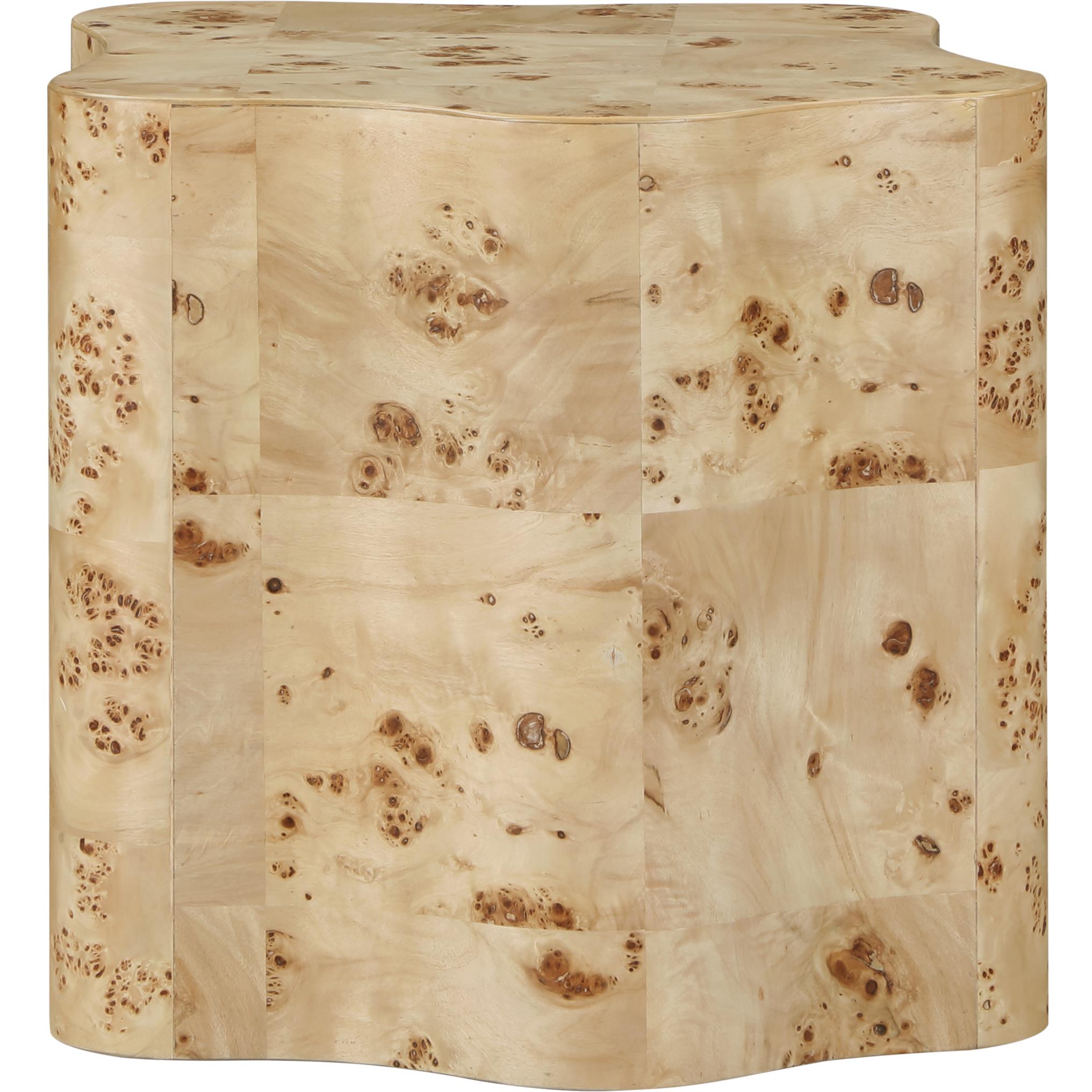 Meridian Zaire Natural Burl Wood End Table