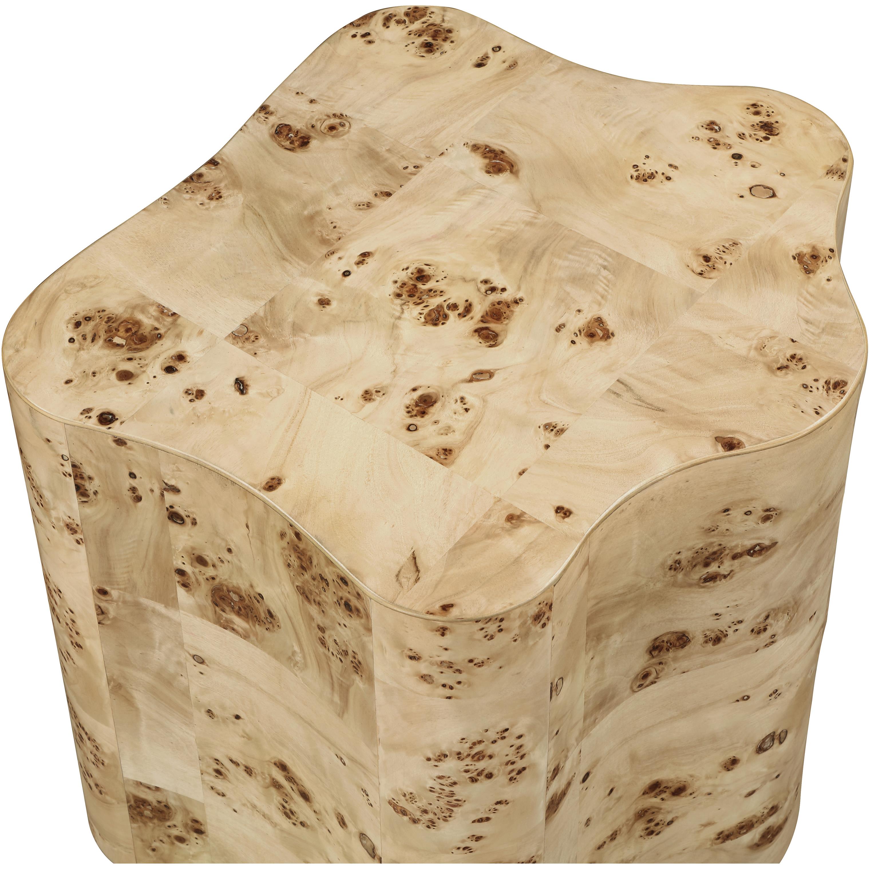 Meridian Zaire Natural Burl Wood End Table