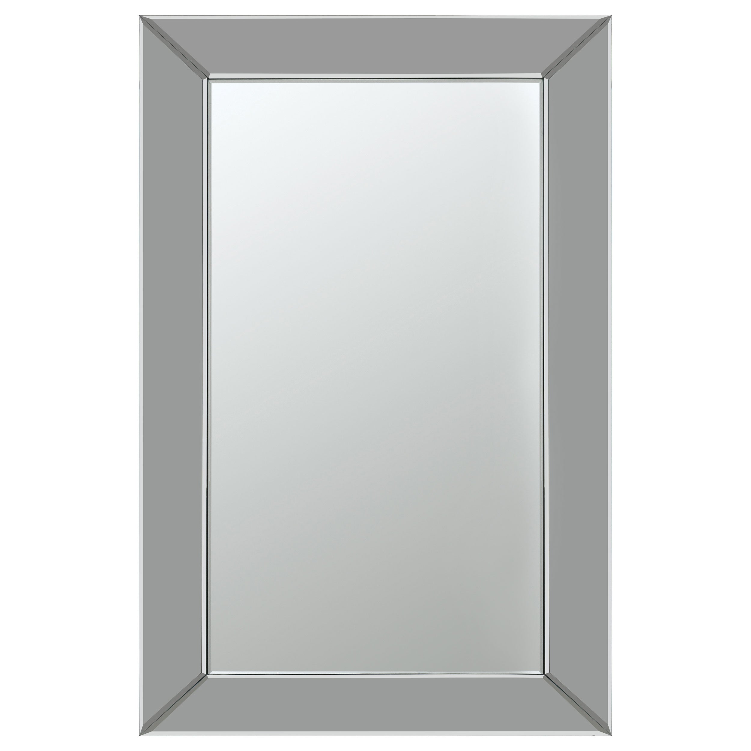 Pinciotti Rectangular Beveled Wall Mirror Silver