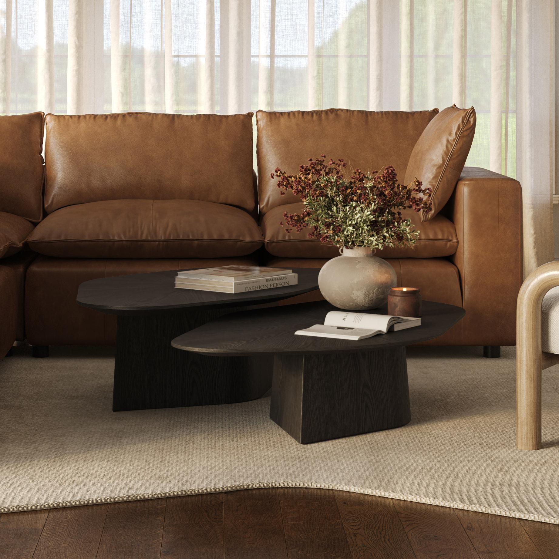 Roche Black Ash Low Coffee Table